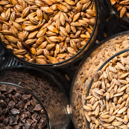 Malt production