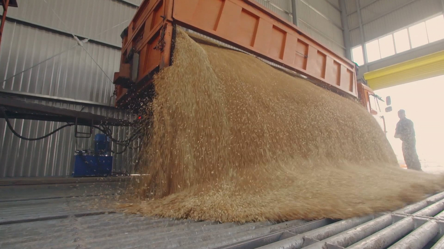 Растениеводство Растениеводство