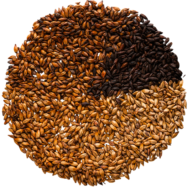 Roasted malt Roasted malt