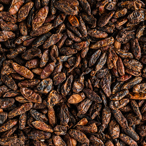 Rye fermented malt (red)