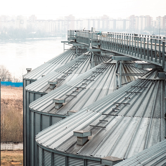 Malthouse "Grainrus - Baltic malt"